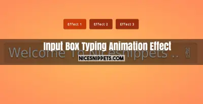 Fancy Input Box Typing Animation Effect