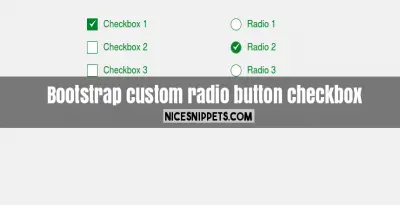 In bootstrap How to custom design radio button and checkbox ?