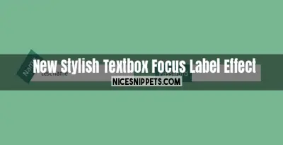 New Stylish Textbox on Focus Label Effect Usign css