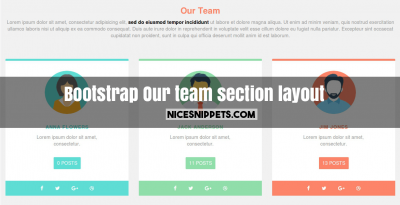 Our team section layout design in bootstrap